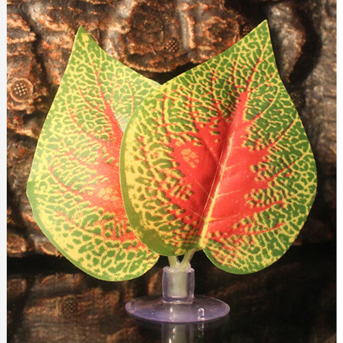 Διακοσμήσεις ενυδρείου, Τεχνητές αιώρες Betta Leaf με βεντούζα για φυσιολατρικούς 1