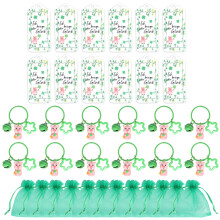12pcs Patrick's Day Luck Pig Keychains with Gifts Bag and Signs
