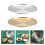 4-teiliges Metallteller-Set, Geschirr,-Gold 26cm 2