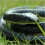 Ρεαλιστικό παιχνίδι κήπου με φίδι, Black Mamba που διατηρεί σπειροειδές σχήμα, 4