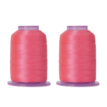 Polyester naaigaren Nachtgloeiende draad 550yds elk voor-FDY12