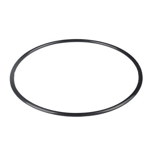 High Temperature Resistant Pool Filter O Rings 27001-0061S O-484