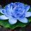27cm Realistic Water Lilies Flower Arrangement Simulation-Green 5