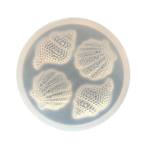 Conch Silicone Moulds DIY Resin Molds Plasters Molds Baking