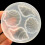 Conch Silicone Moulds DIY Resin Molds Plasters Molds Baking 6
