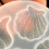 Conch Silicone Moulds DIY Resin Molds Plasters Molds Baking 5