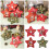 Organisateurs d'étoiles sur le thème de noël, conceptions 2