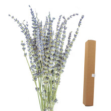 Naturalna suszona lawenda, uspokajający efekt, retro elegancja, dekoracja do domu i na wesele, 2 pęczki, długość 40-45 cm/15,7-17,7 cala,