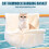 Luxurious Cats Hammock Bed for Heaters Large Plush-dark gray 6