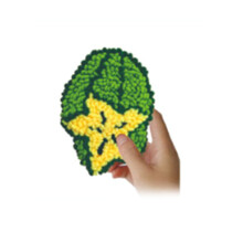 Punching Needle Set with Embroidery Needle Pen-star fruit
