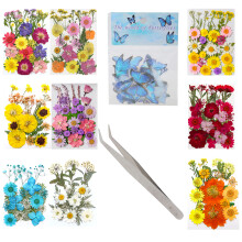 Natural Pressed Dried Flower with Tweezers for Scrapbooking