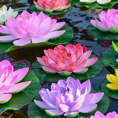 Realistic Foam Simulation Water Lilies Flower With-Red 1