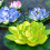 Realistic Artificial Floating Flower with Leaf For Tank-Purple 7