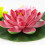 5Pcs Artificial Floating Foam Flower with Leaf 6.7Inch-Red 4