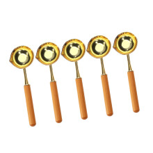 5 Pcs Metal Sealing Spoon with Wood Handel-Yellow wood color