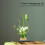Καινοτόμος κάτοχος στελέχους Ikebana, καρφίτσα βάτραχος για καλλιτεχνικές 7