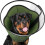 Soft Recovery Cones Pet Healing Cones Light weight-L 1