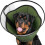 Soft Recovery Cones Pet Healing Cones Light weight-L 2