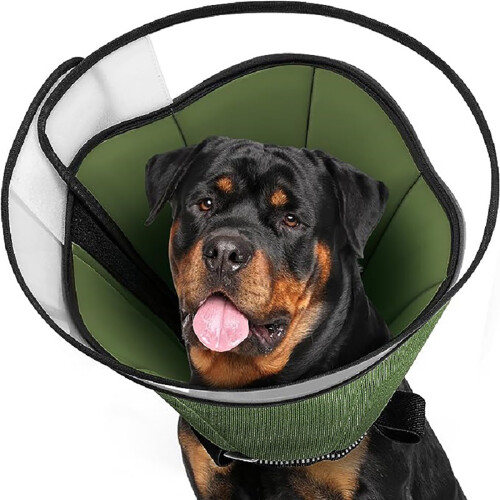 Soft Recovery Cones Pet Healing Cones Light weight-L 1