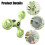 Interactively Rotate Parrots Toy for Mental Stimulation-green 5