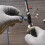 Multifunction Wire Cutter Pliers Wire Stripper Nails Cutter 5