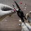 Multifunction Wire Cutter Pliers Wire Stripper Nails Cutter 6