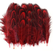 100 Pcs 2-3 Inch Red Pheasant Feathers Bulk Various Colors Natural Feather Crafts Clothing Hat Sewing Decorating