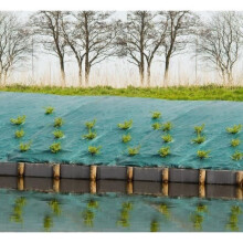 Tessuto da pacciamatura paesaggi verde, 1 x 25 m - trattato anti UV, 100 g/m² - Telo da terra anti erbacce