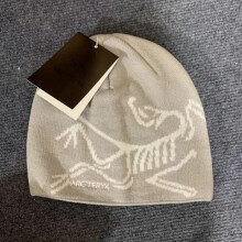Warme Wintermütze für Herren - Arc'teryx Herrenmütze [D] Hellgrau