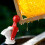 Portable Honeys Release Tap 48mm for Beekeepers Sturdy ABS 7
