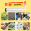 Professional Solder Paste Welding High Grade Oil Flux 6