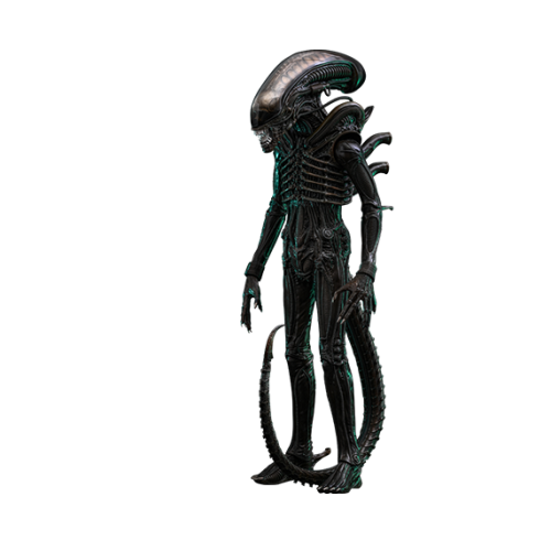 Hot Toys ειδώλιο Hot Toys MMS826 - Alien - Big Chap