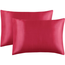 Taies d'oreiller luxueuses en satin, lot de 2, format Queen (50 x 75 cm), infroissables, douces et soyeuses pour protéger les cheveux et la peau,