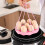 Τροφίμων σιλικόνης Bakeware για χύτρες ταχύτητας, επαναχρησιμοποιήσιμος δίσκος 3