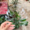 Transparents Plant Stem Support Holder For Vegetables Seedlings 5