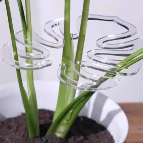 Transparents Plant Stem Support Holder For Vegetables Seedlings 1