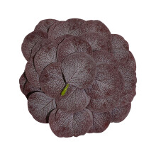 Artificial Eucalyptus Leaves Elegant DIY Wedding Decorations Bulk Plastic Leaves Silk Petals Reusable Table Centerpiece Decor for Weddings Baby Shower
