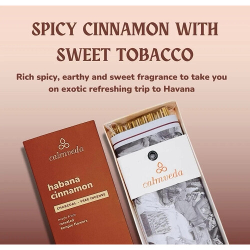 CalmvedaHavanaCinnamonIncense80StickCharcoalFree 2