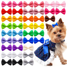 Pince à cheveux pour chien de couleur mixte, 50 pièces, nœuds