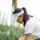 2 Portachiavi Palline Golf Fermacapo Golf 5