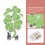 2 Portachiavi Palline Golf Fermacapo Golf 7
