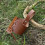 PU Leather Horn Cup Holder for Coffee Shops Adjustable Mug Cover 5