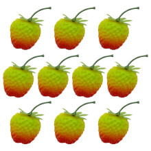 Simulations Strawberries Wall Lifelikes Strawberries Model
