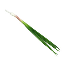 Simulated Scallion Fake Small Scallion Model Green Plant-onion