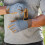 Westland Kent & Stowe Medium Comfort Gardening Gloves Grey 2
