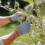 Westland Kent & Stowe Medium Comfort Gardening Gloves Grey 4