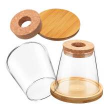 Glass Plants Propagation Station 2Piece Set Base Included Clear Terrarium Tubes Hydroponic Watering Vases Indoor Growth