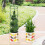 Stackable Monstera Plant Support, 2025 New Plant Stakes for-B 2