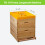 Year Round Honeybees Feeder 6 Feeding Stations Top Mounted-2PCS 5