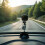 Vibration Resistant Camera Suction Cup Adjustable Mount for Go 2